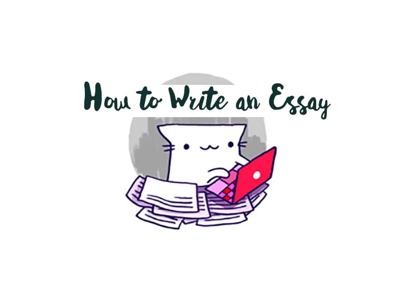 How to Write an Essay